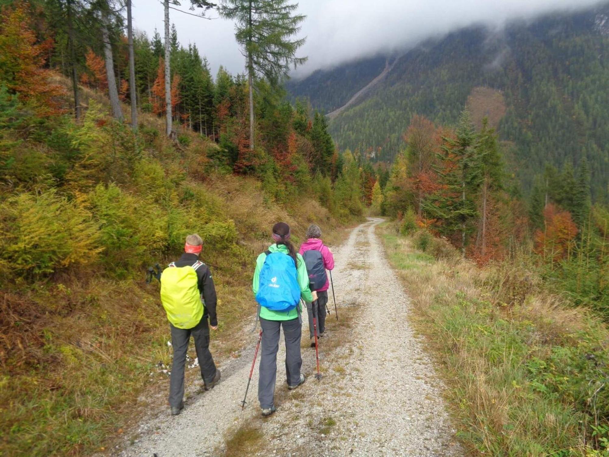 Premium Wanderhotel Steirerhof Schladming Luaran gambar