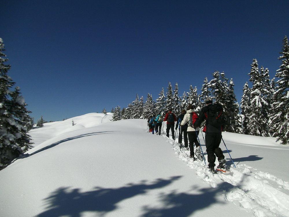 Premium Wanderhotel Steirerhof Schladming Luaran gambar