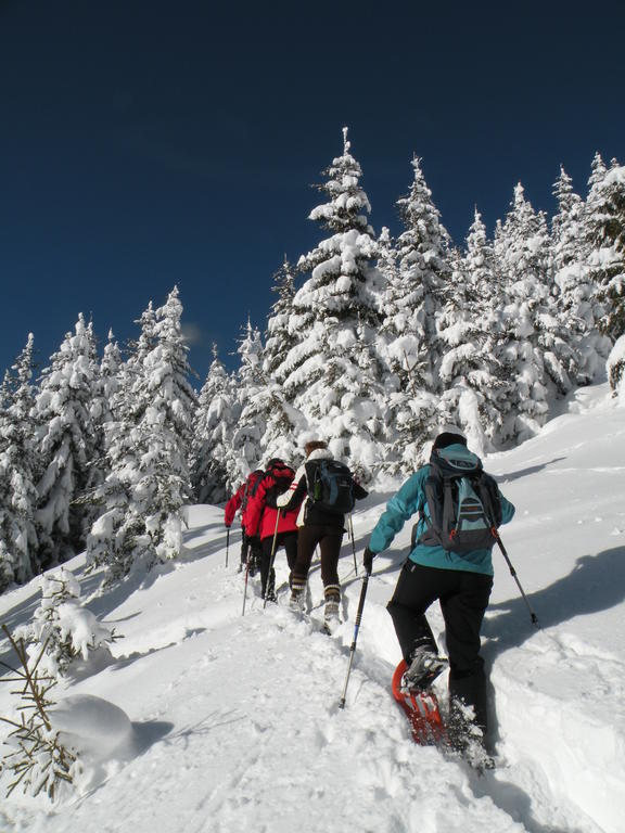 Premium Wanderhotel Steirerhof Schladming Luaran gambar